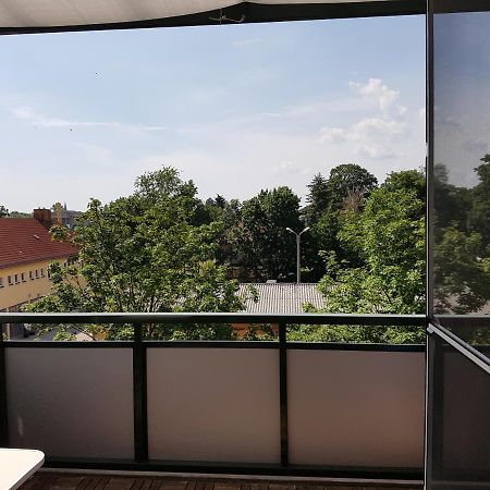 Fewo Dresden-Trachau Экстерьер фото