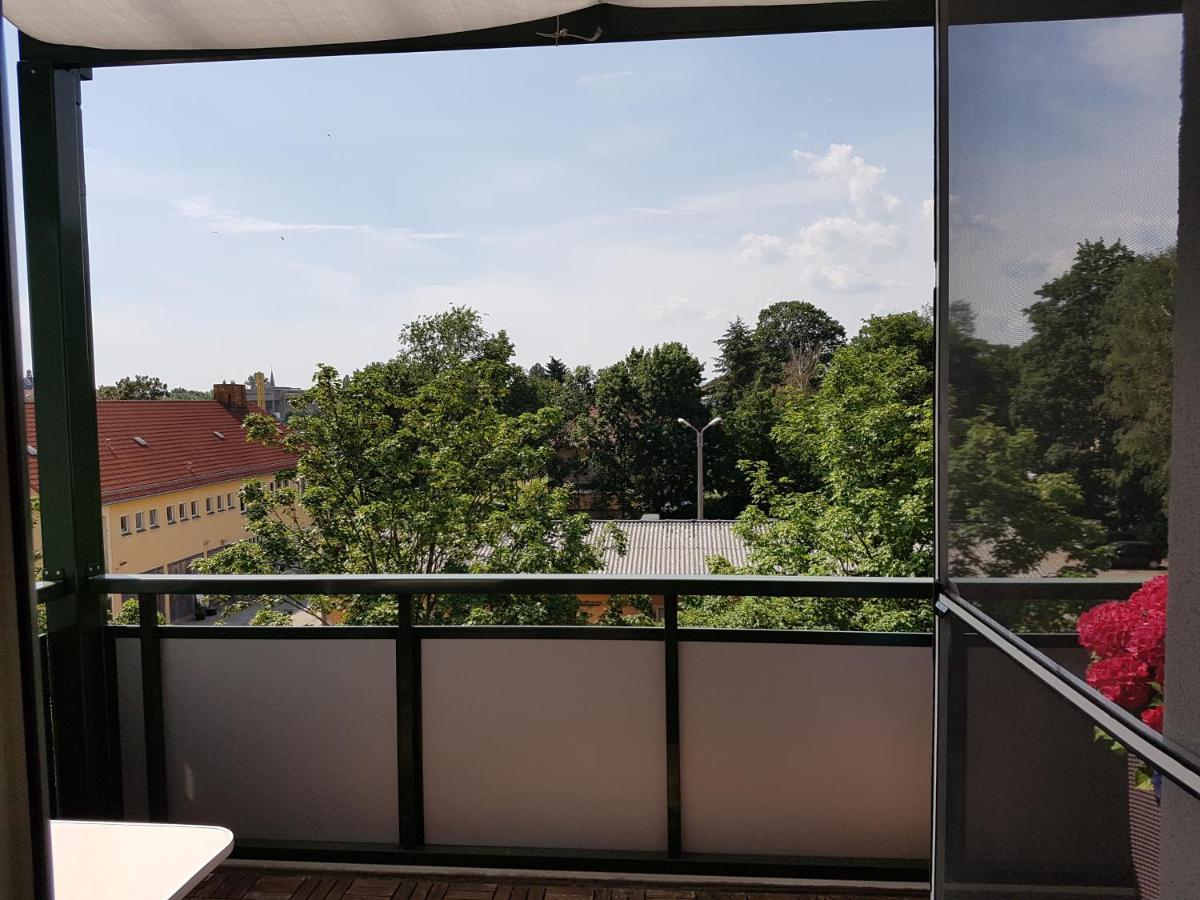 Fewo Dresden-Trachau Экстерьер фото