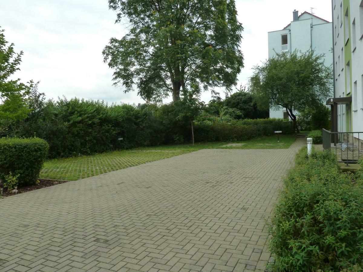 Fewo Dresden-Trachau Экстерьер фото