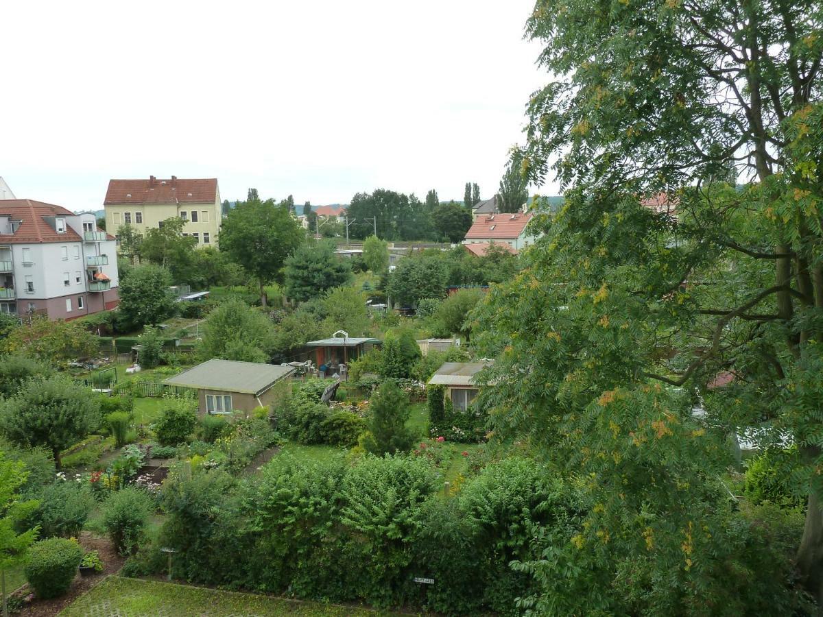 Fewo Dresden-Trachau Экстерьер фото