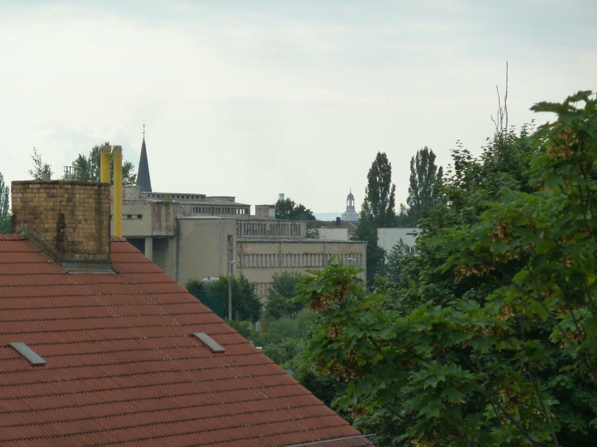 Fewo Dresden-Trachau Экстерьер фото